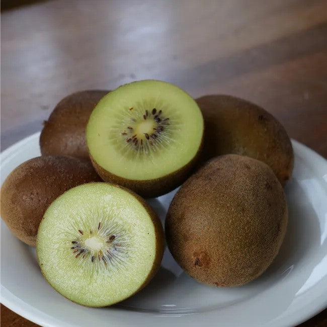 yellow fuzzy kiwi 'Dolce®' (PJK1-PBR-) young plants