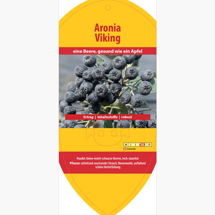 Bildetiketten - Aronia melanoc. 'Viking'