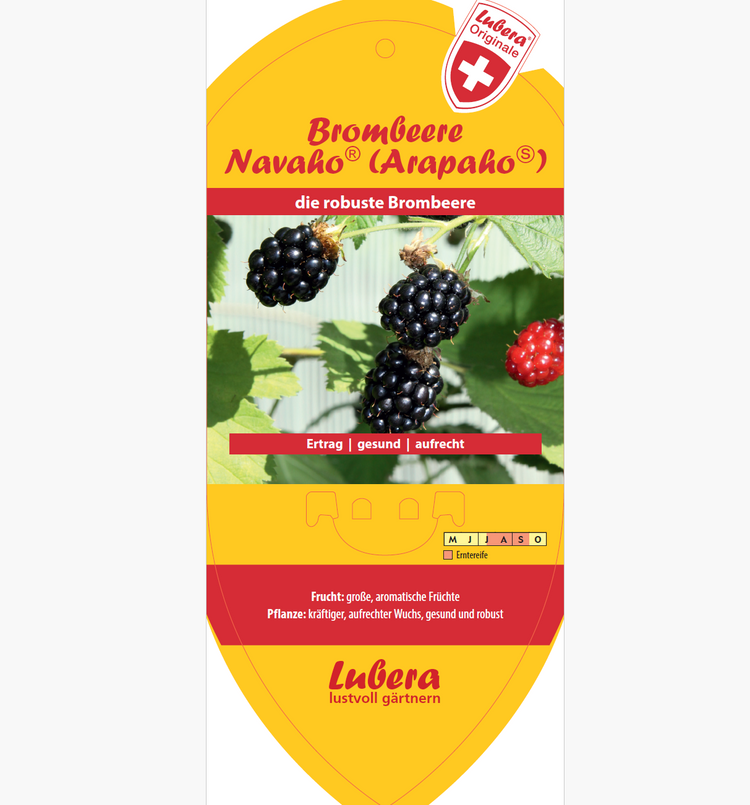 Bildetiketten - Rubus frut. 'Navaho®' (Arapaho-PBR-)