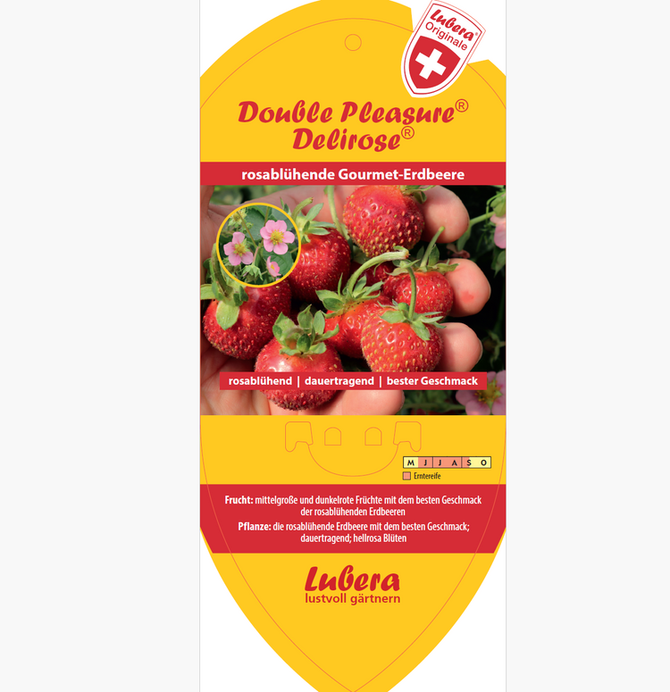 Bildetiketten - Fragaria 'Delirose®'