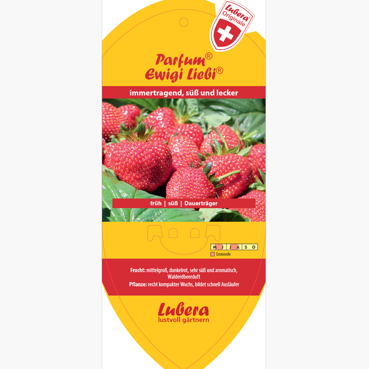 Bildetiketten - Fragaria 'Ewigi Liebi®'