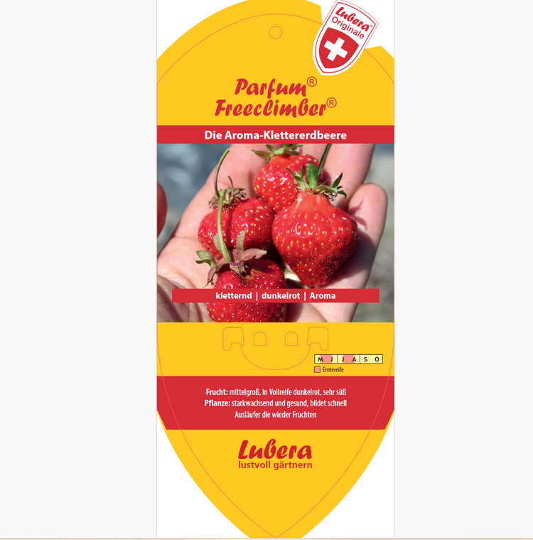 Bildetiketten - Fragaria 'Freeclimber®'