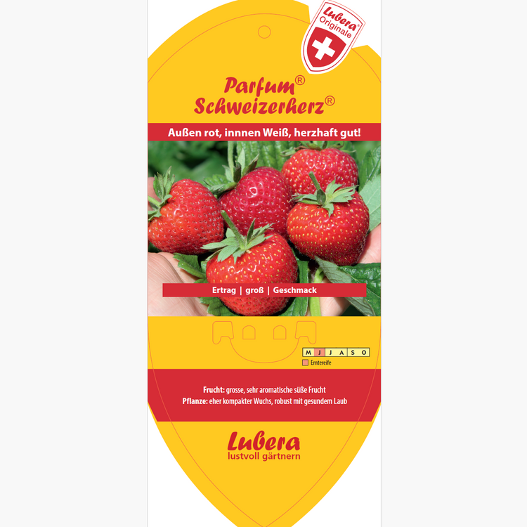 Bildetiketten - Fragaria 'Schweizerherz®'