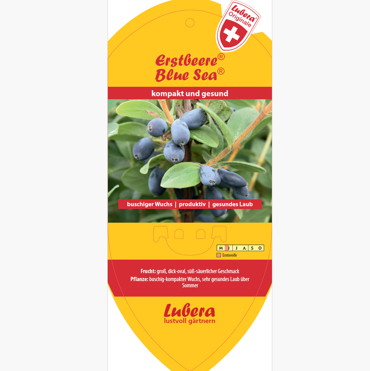 Bildetiketten - Lonicera cearulea Erstbeere® 'Blue Sea®'
