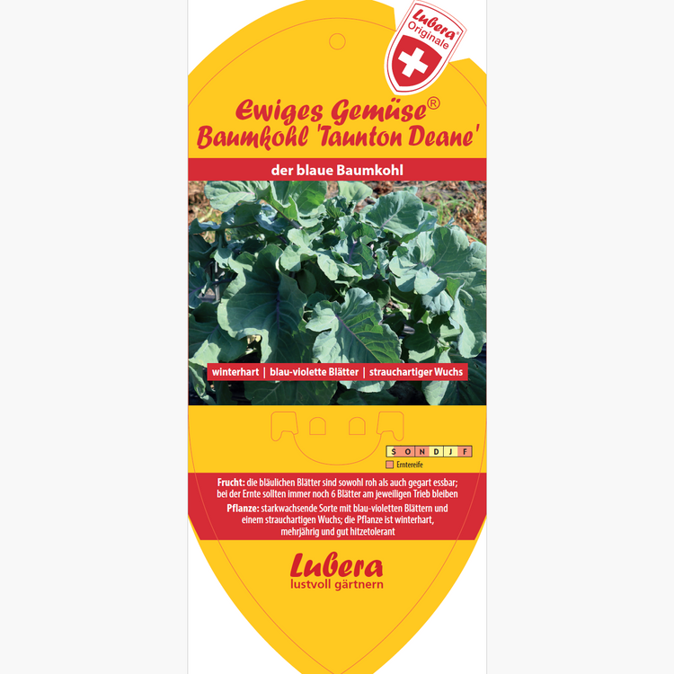Bildetiketten - Brassica 'Taunton Deane'