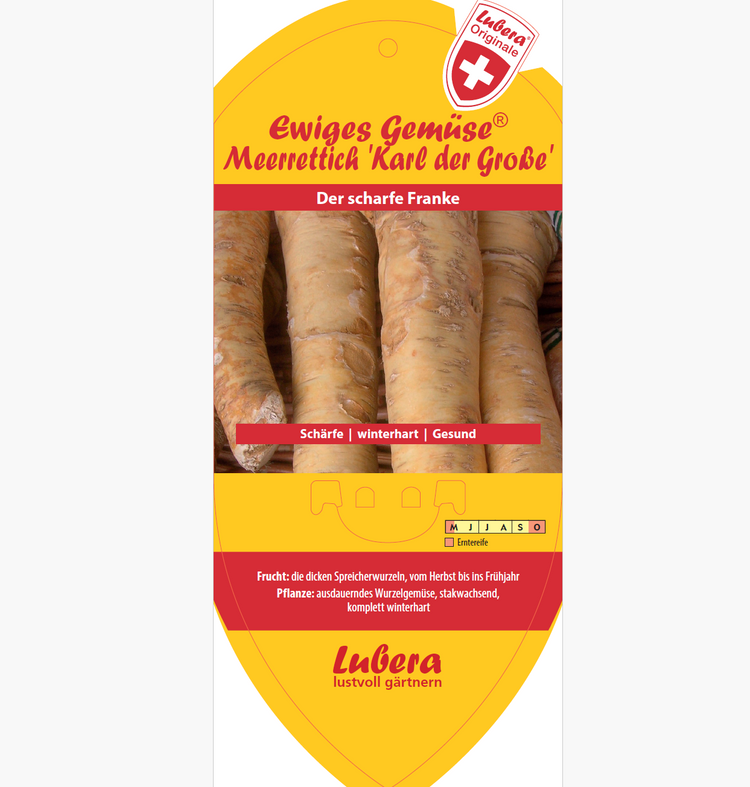 Bildetiketten - Armoracia 'Karl der Große'