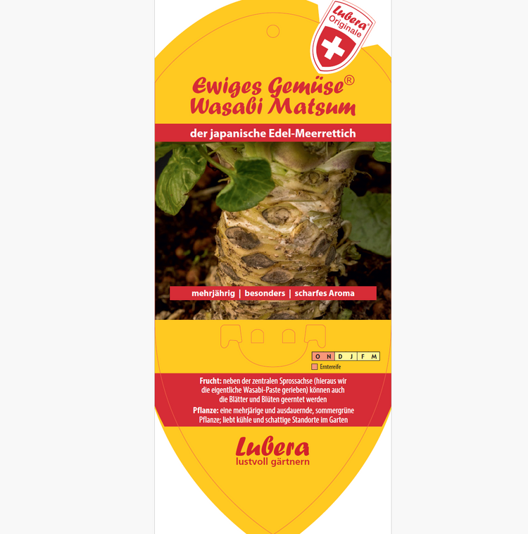 Bildetiketten - Eutrema jap. 'Matsum'