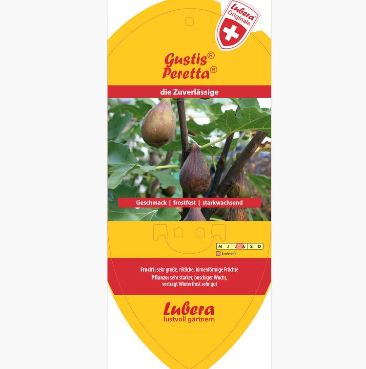 Bildetiketten - Ficus carica Gustis® 'Peretta®'