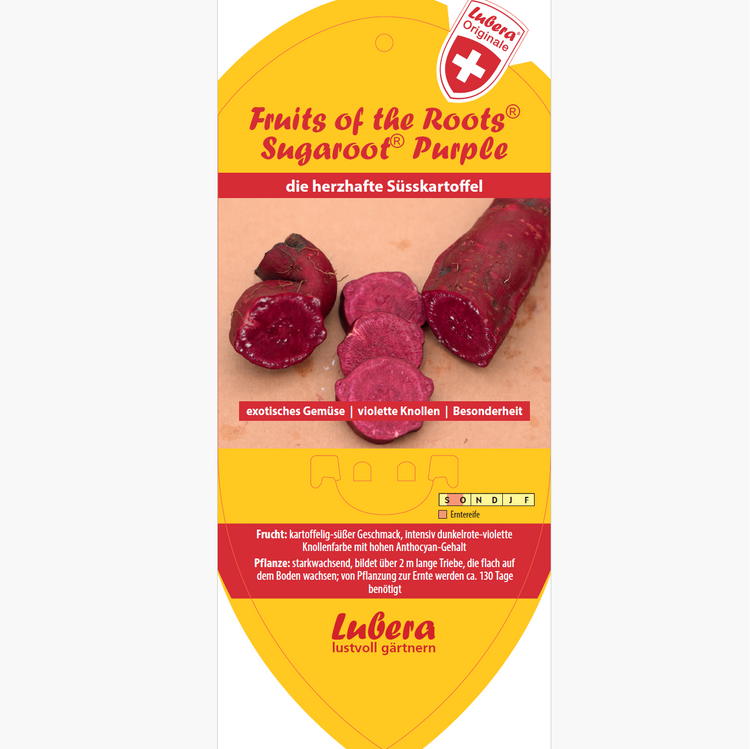 Bildetiketten - Ipomoea bat. Sugaroot® Purple