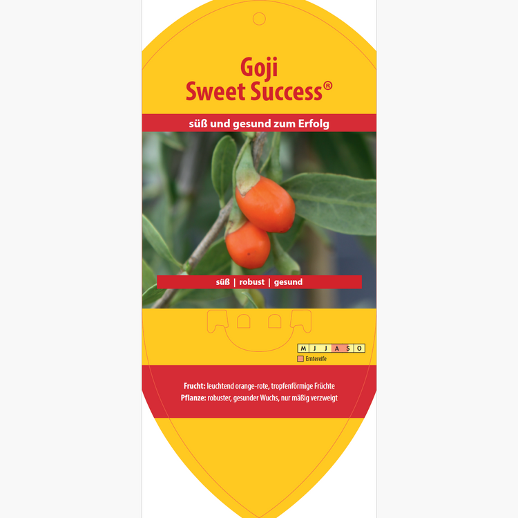 Bildetiketten - Lycium 'Sweet Success®'