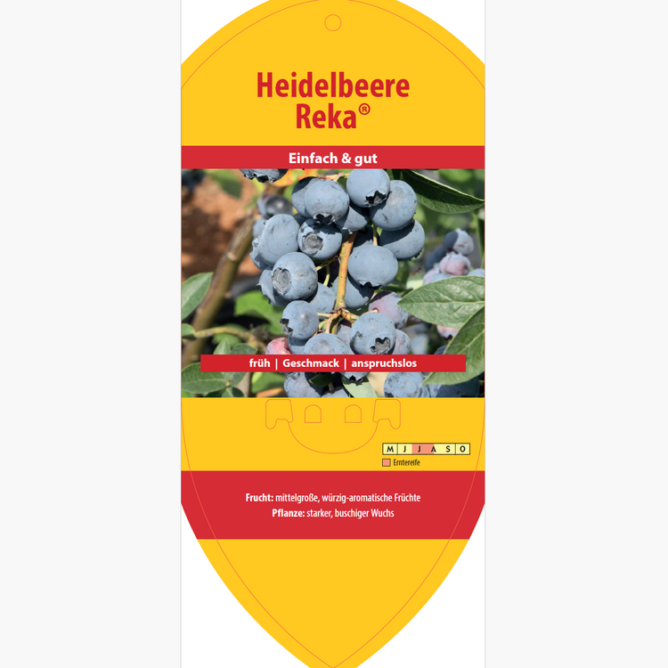 Bildetiketten - Vaccinium cor. 'Reka'