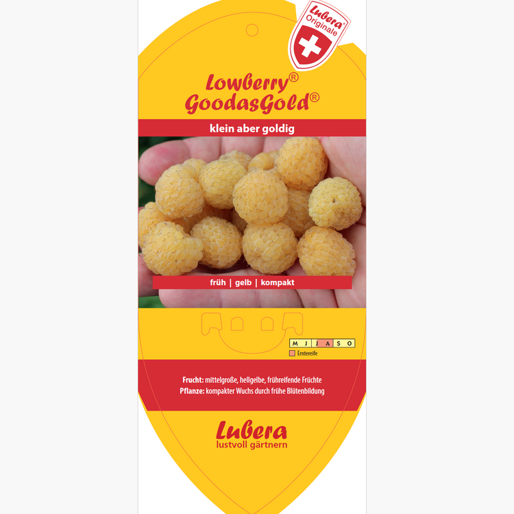 Bildetiketten - Rubus idaeus Lowberry® 'GoodasGold®'