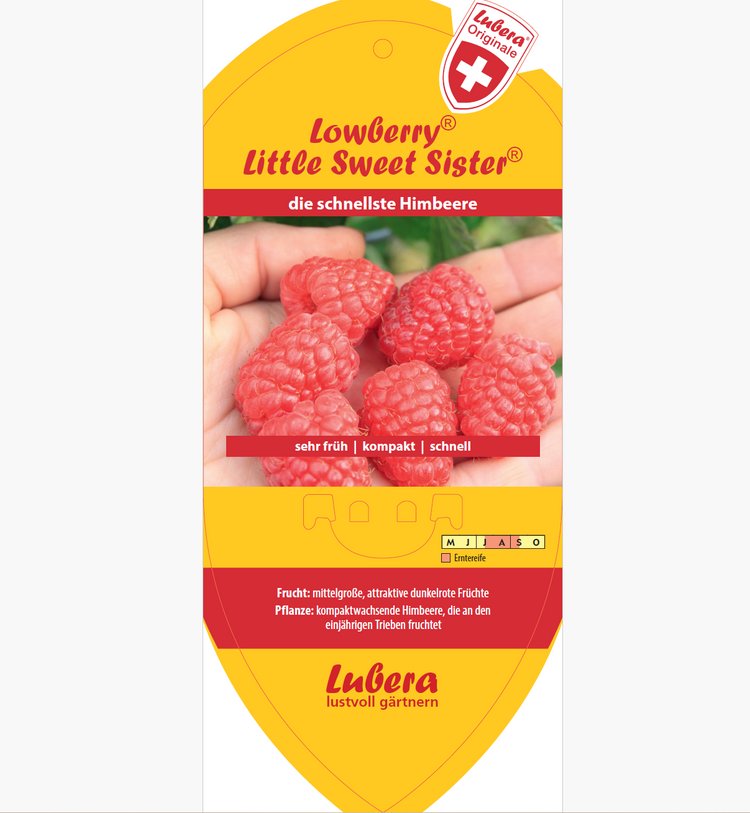 Bildetiketten - Rubus idaeus Lowberry® 'Little Sweet Sister®'