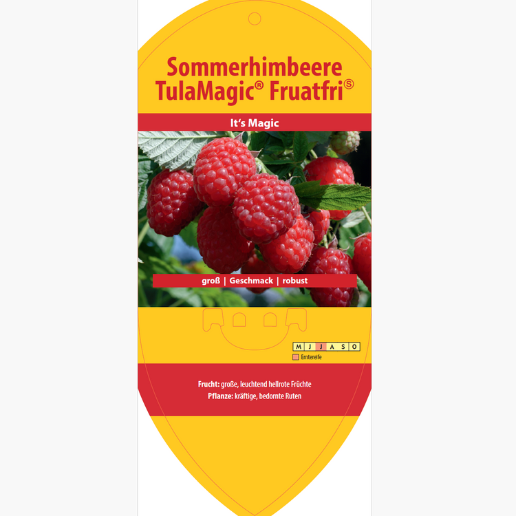 Bildetiketten - Rubus idaeus 'TulaMagic®' (Fruatfri-PBR-)