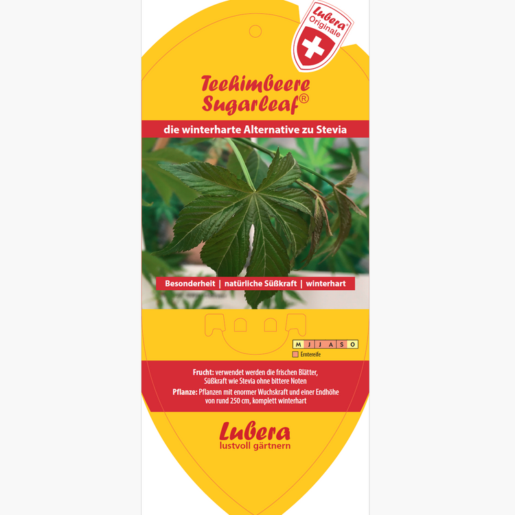 Bildetiketten - Rubus ch. 'Sweetleaf®'