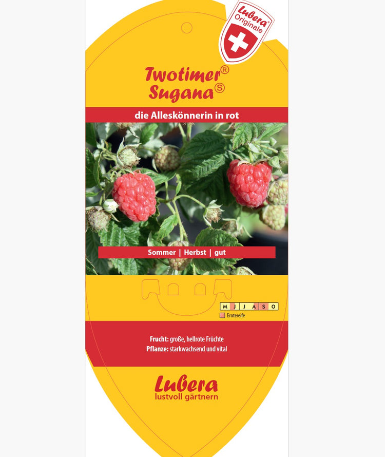 Bildetiketten - Rubus idaeus Twotimer® 'Sugana-PBR-'