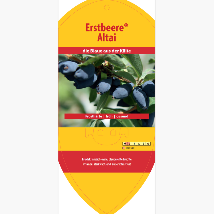 Bildetiketten - Lonicera cear. 'Altaj'