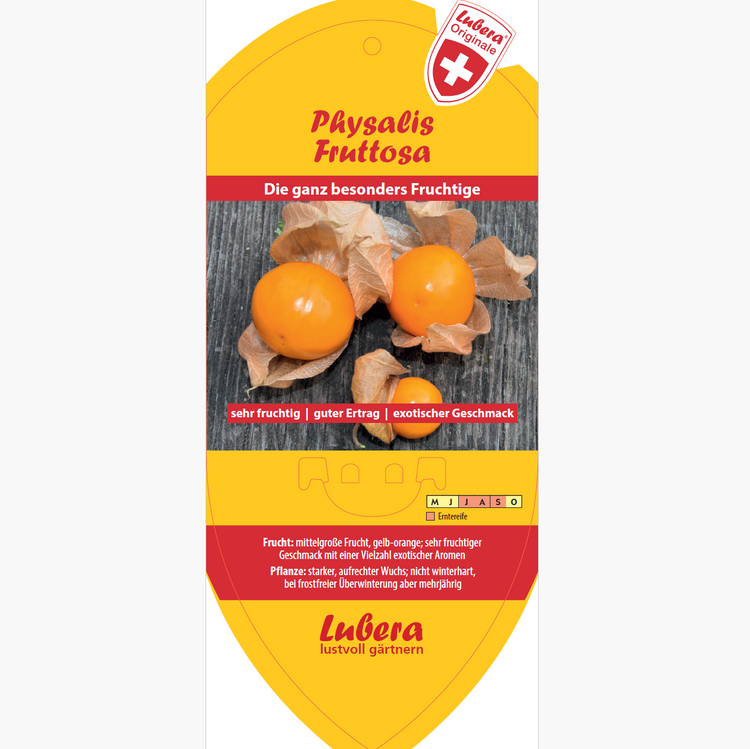 Bildetiketten - Physalis 'Fruttosa'