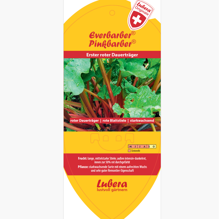 Bildetiketten - Rheum rha. Everbarber® Pinkbarber®