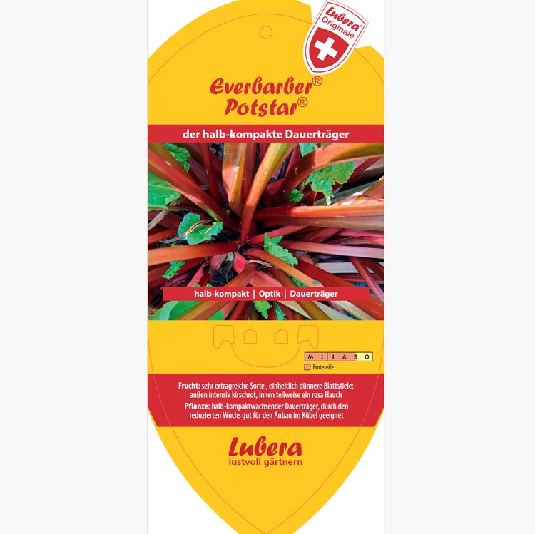 Bildetiketten - Rheum rha. Everbarber® Potstar®