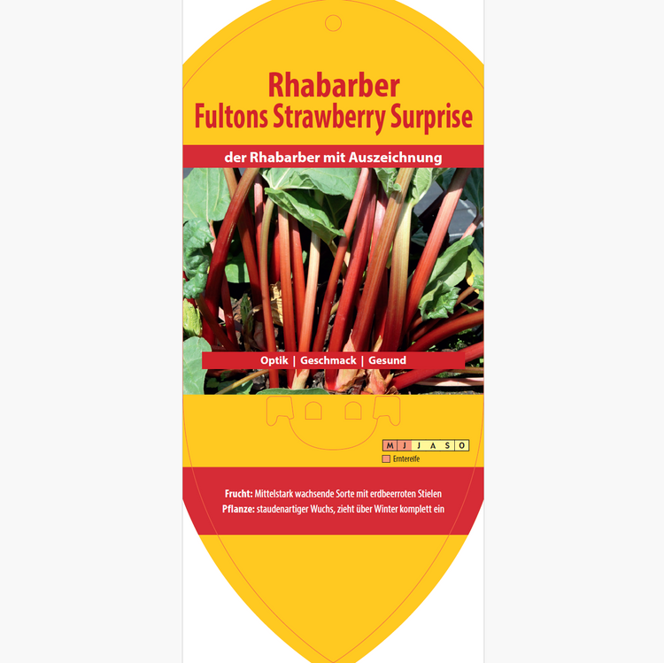Bildetiketten - Rheum rha. 'Fultons Strawberry Surprise'