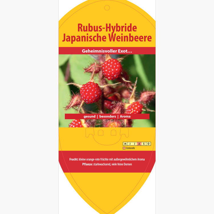 Bildetiketten - Rubus hybr. 'Japanische Weinbeere'