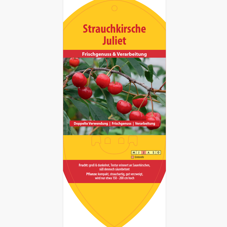 Bildetiketten - Prunus sp. 'Juliet'