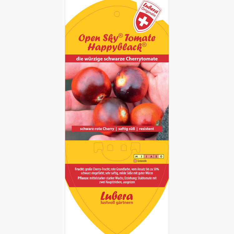 Bildetiketten - Solanum lyco. 'Happyblack®'