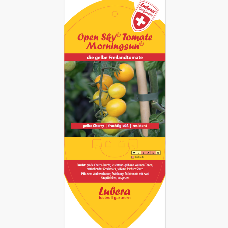 Bildetiketten - Solanum lyco. 'Morningsun®'