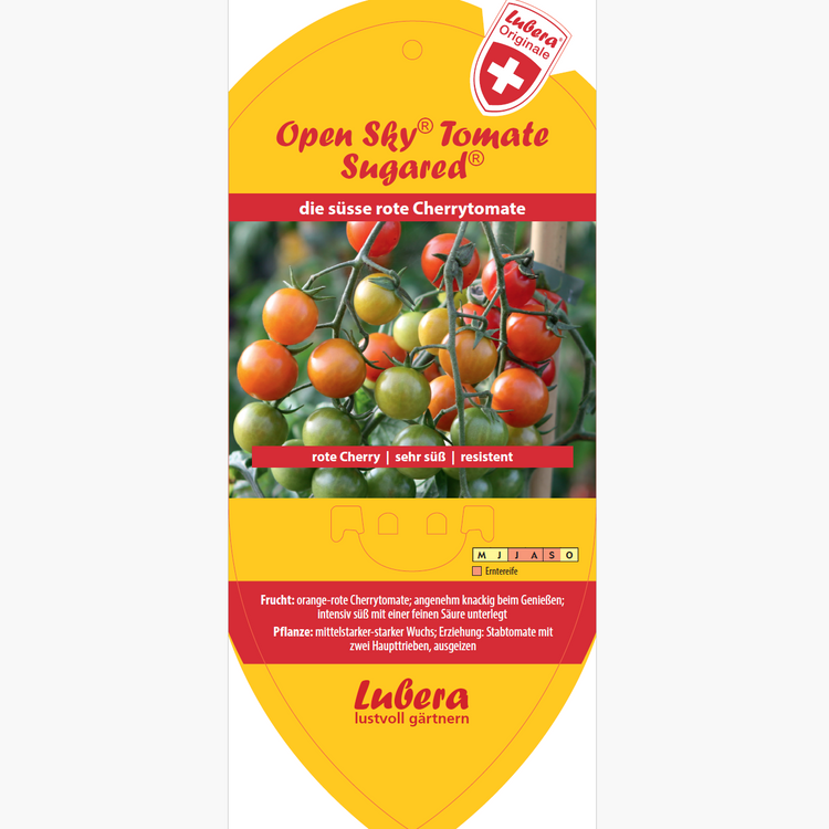 Bildetiketten - Solanum lyco. 'Sugared®'