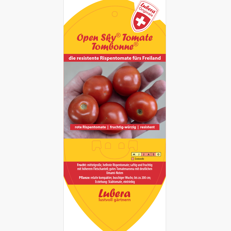 Bildetiketten - Solanum lyco. 'Tombonne®'
