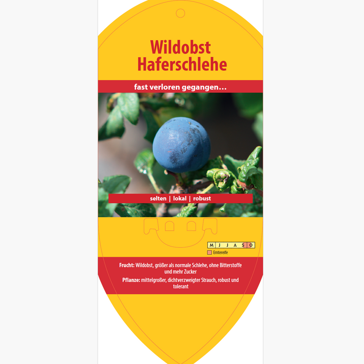 Bildetiketten - Prunus dom. 'Haferschlehe'