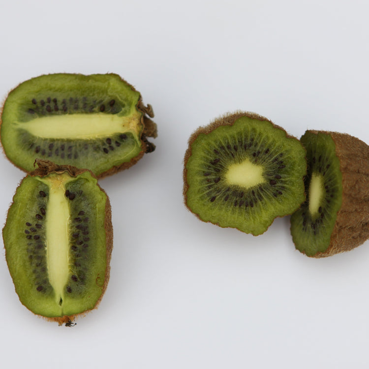 Kiwi Hayward - young plants