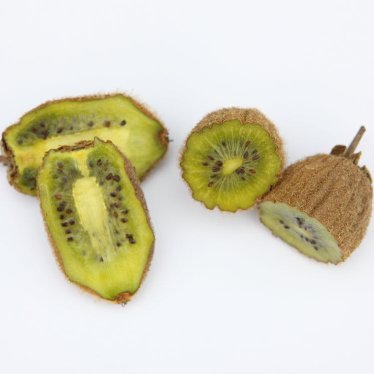 Kiwi Kivite® - young plants