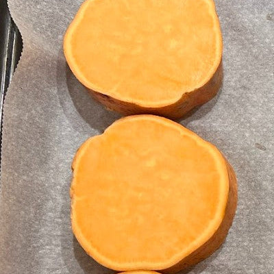 Ertrags-Süßkartoffel Thanksgiver® 'Orange'-Jungpflanzen