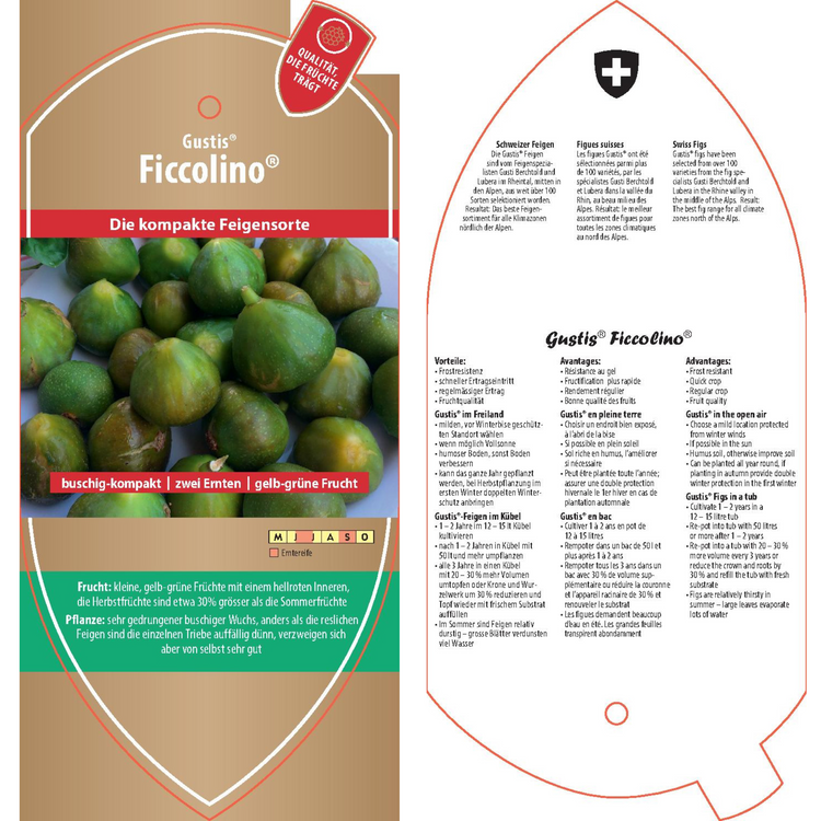 Bildetiketten - Ficus carica Gustis® 'Ficcolino®'