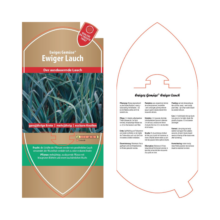 Bildetiketten - Allium ampeloprasum 'Ackerlauch'