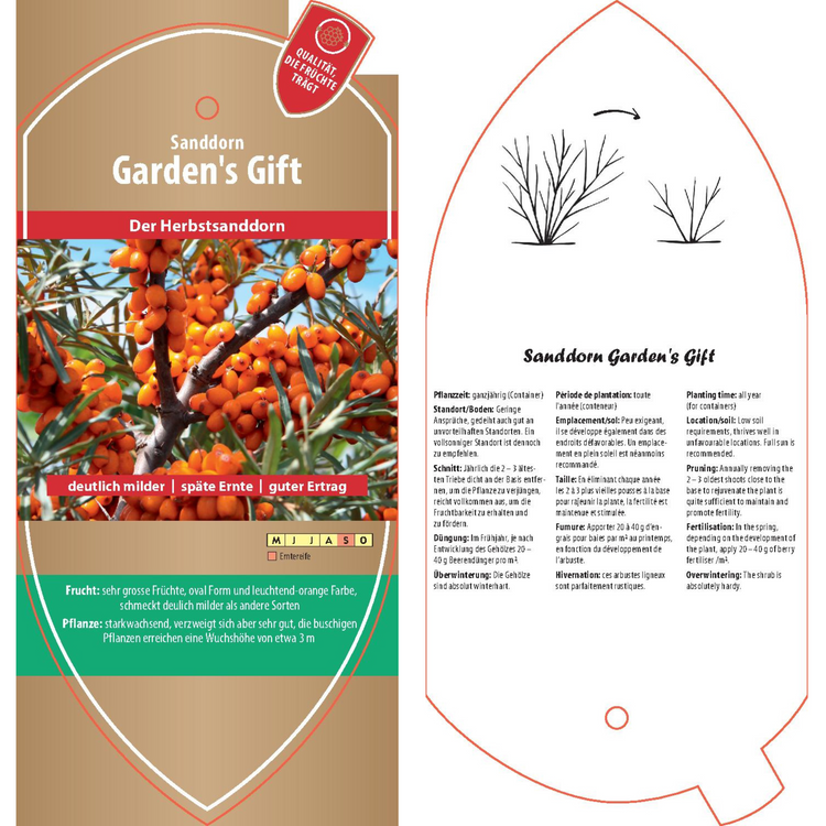 Bildetiketten - Hippophae rham. 'Gardens Gift'