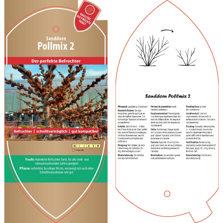 Bildetiketten - Hippophae rham. 'Pollmix 2'