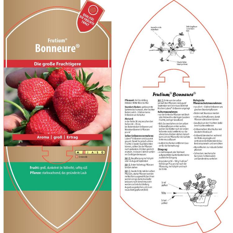 Bildetiketten - Fragaria 'Bonneure®'