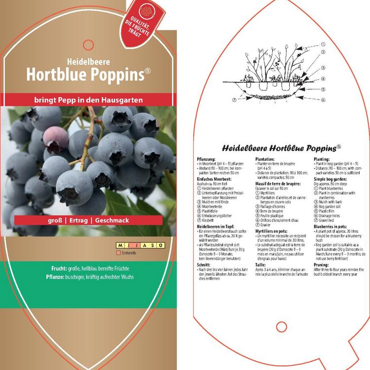 Bildetiketten - Vaccinium cor. 'Hortblue Poppins'