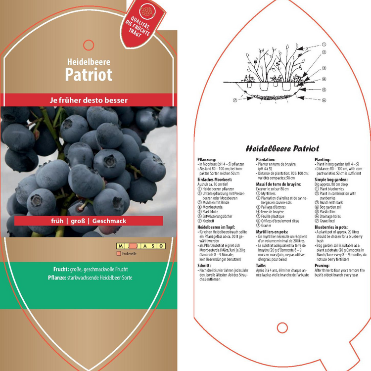 Bildetiketten - Vaccinium cor. 'Patriot'