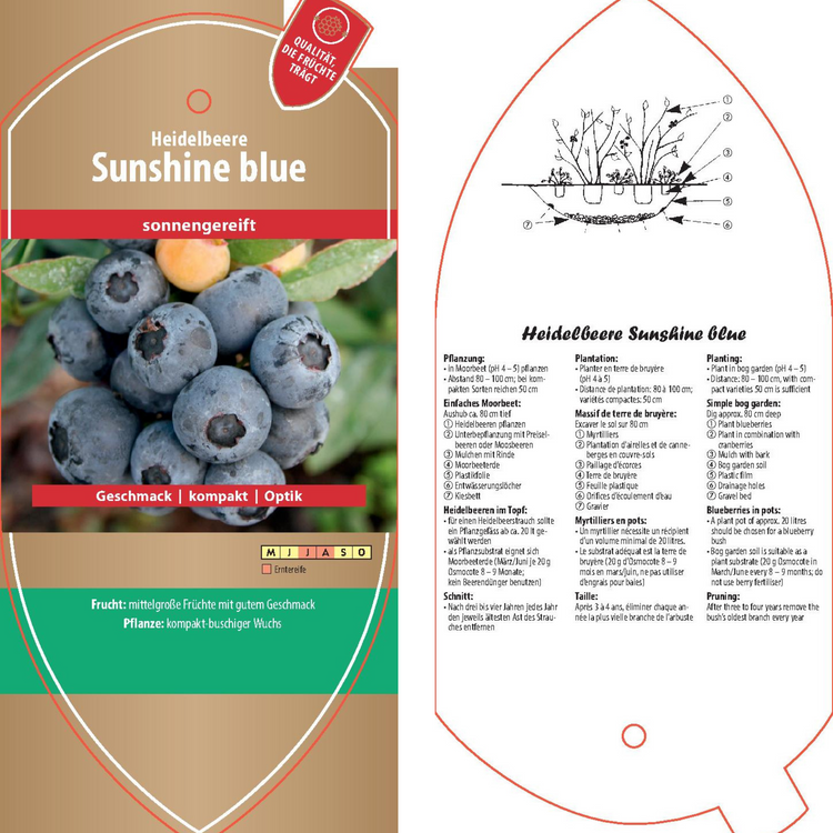 Picture labels - Vaccinium cor. 'Sunshine Blue'