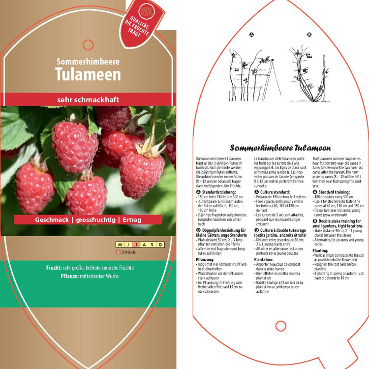 Bildetiketten - Rubus idaeus 'Tulameen'