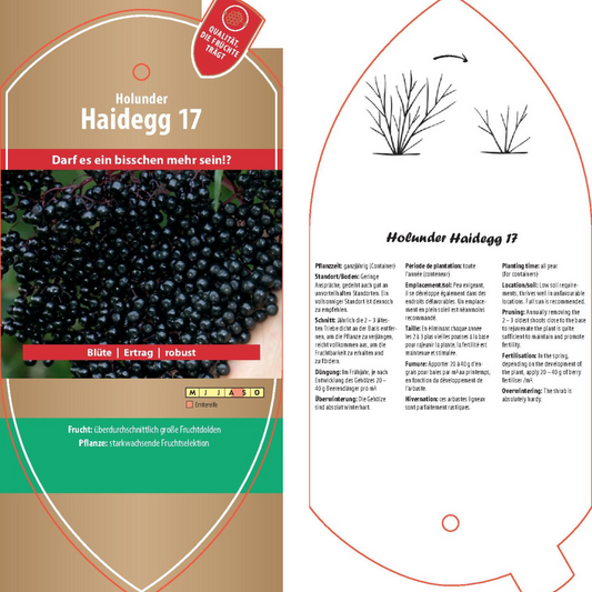 Picture labels - Sambucus nigra 'Haidegg 17'