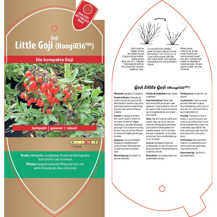 Picture labels - Lycium 'Little Goji'