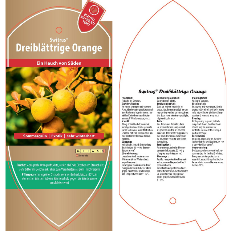 Picture labels - Poncirus trif. 'bitter orange'