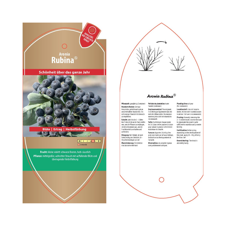 Bildetiketten - Aronia melanoc. 'Rubina'