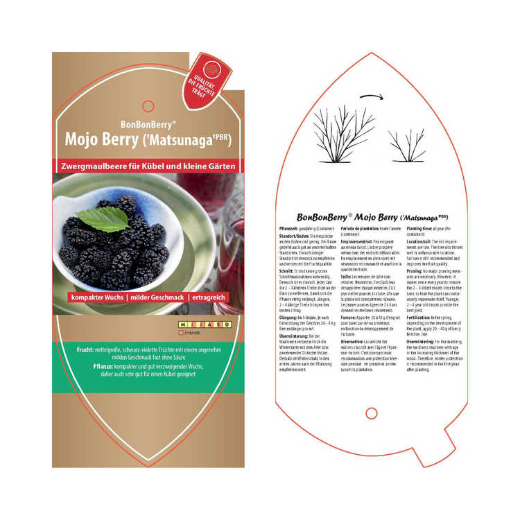 Bildetiketten - Morus sp. 'Mojoberry®'