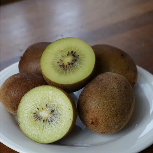 yellow fuzzy kiwi 'Dolce®' (PJK1-PBR-) young plants